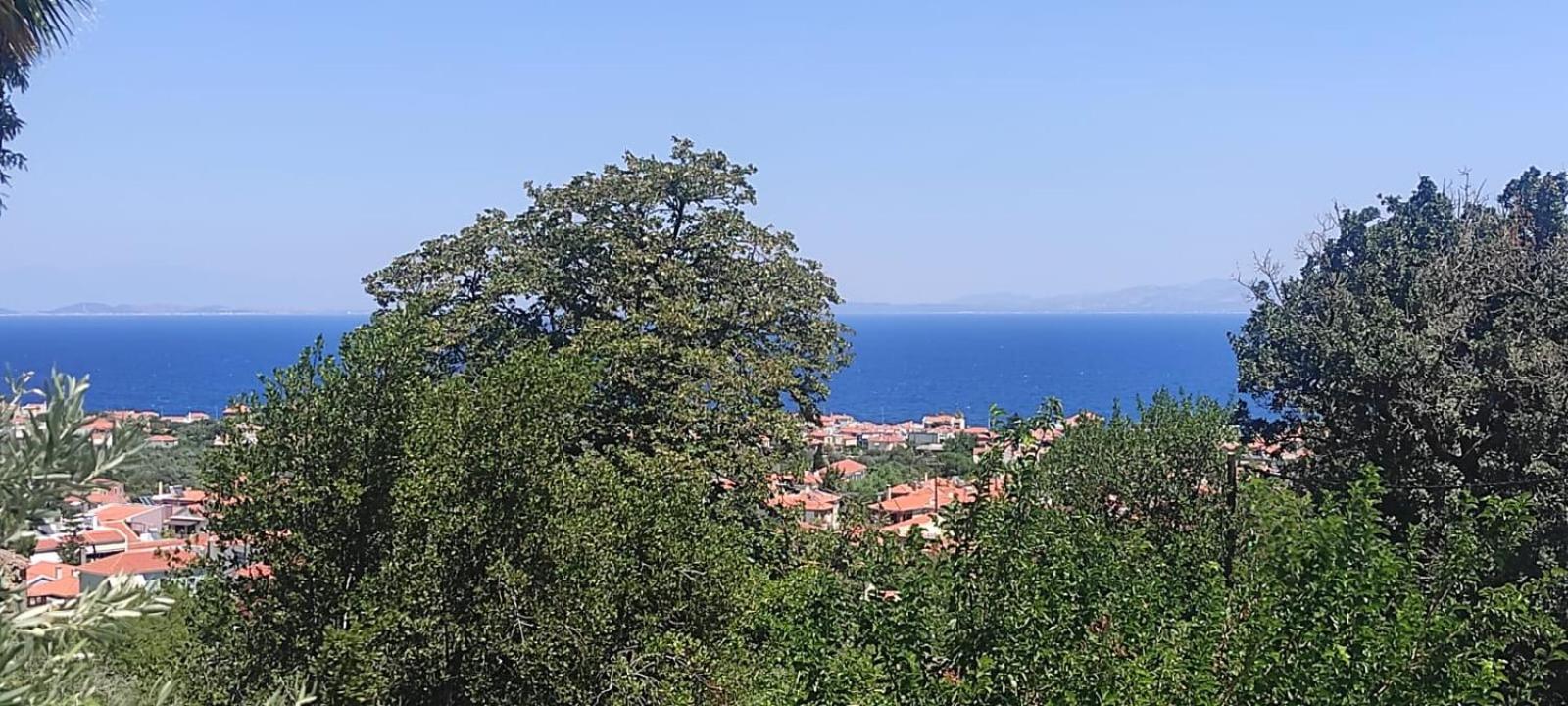 Studios Akrotiri Mytilene Exterior photo